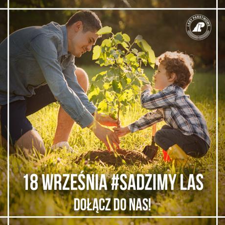 #sadziMY 18.09.2020