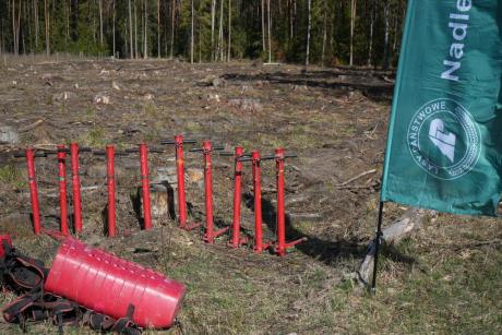 Sadzimy Razem z Naturą